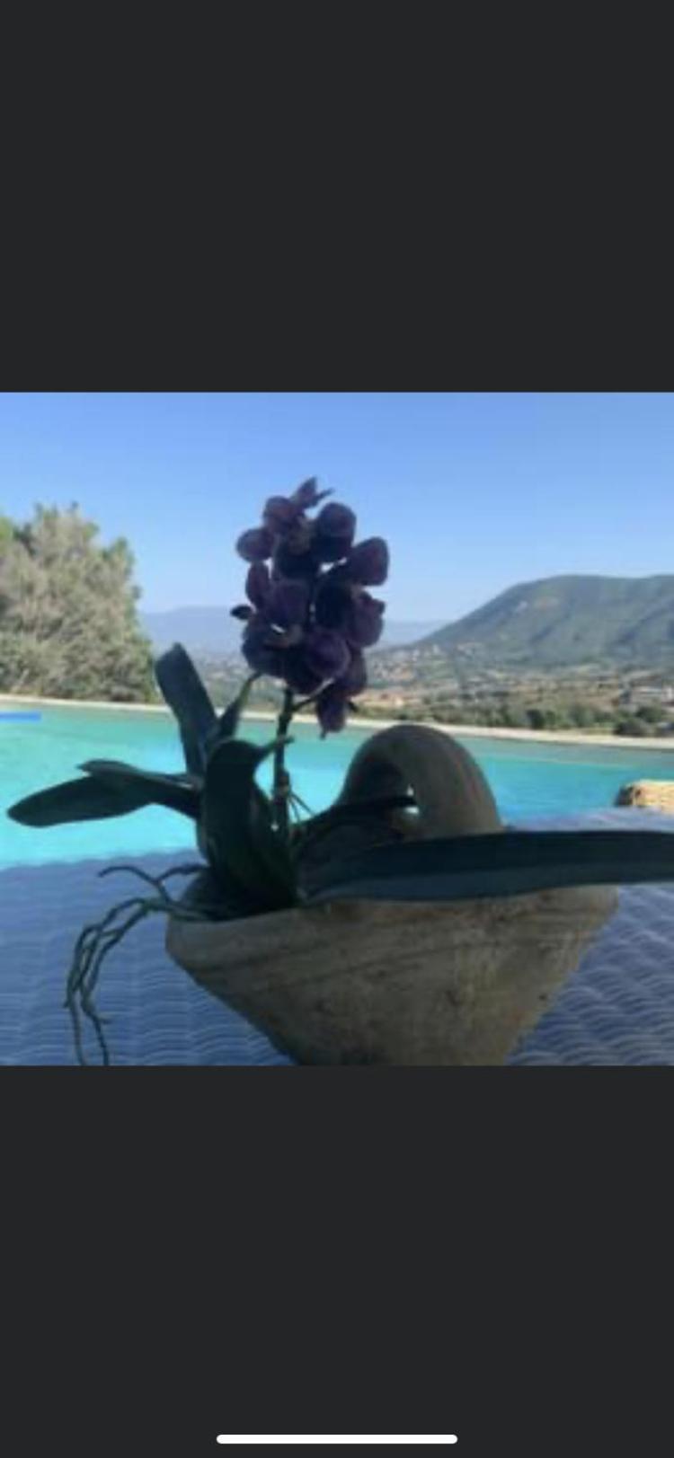 Residence Paradisu Ajaccio Appietto Eksteriør bilde