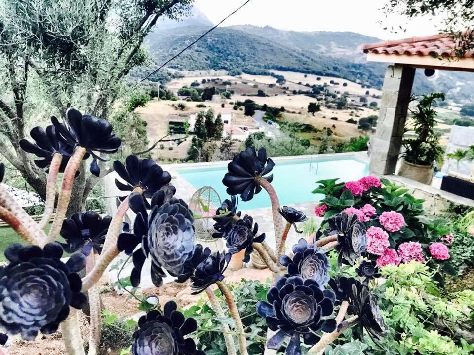 Residence Paradisu Ajaccio Appietto Eksteriør bilde