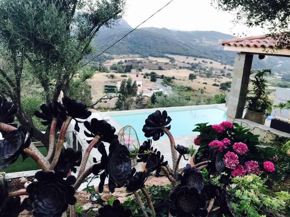 Residence Paradisu Ajaccio Appietto Eksteriør bilde